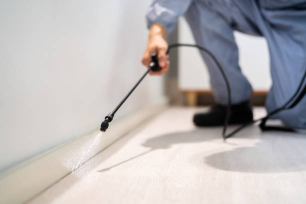 Licensed Mosquito Control service in Goldendale, WA - Show Me Pest Control