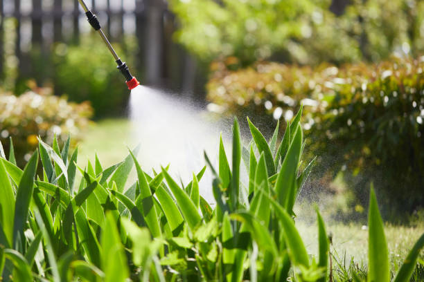 24/7 Emergency Mosquito Control experts in Goldendale, WA